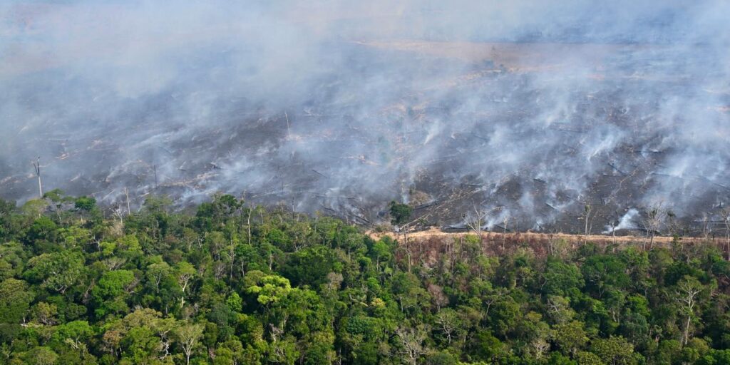 l'europe envisage un nouveau délai pour l'adoption de la loi sur la déforestation, afin de mieux encadrer la protection des forêts et renforcer la lutte contre la dégradation environnementale.